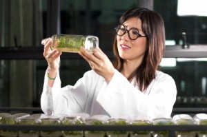 ID 10077333 300x199 Chemical and Biotechnical Science, Food or Process Technology   BAAA